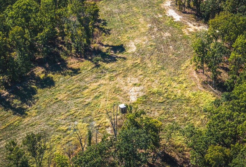 DJI_20251009053057_0615_D