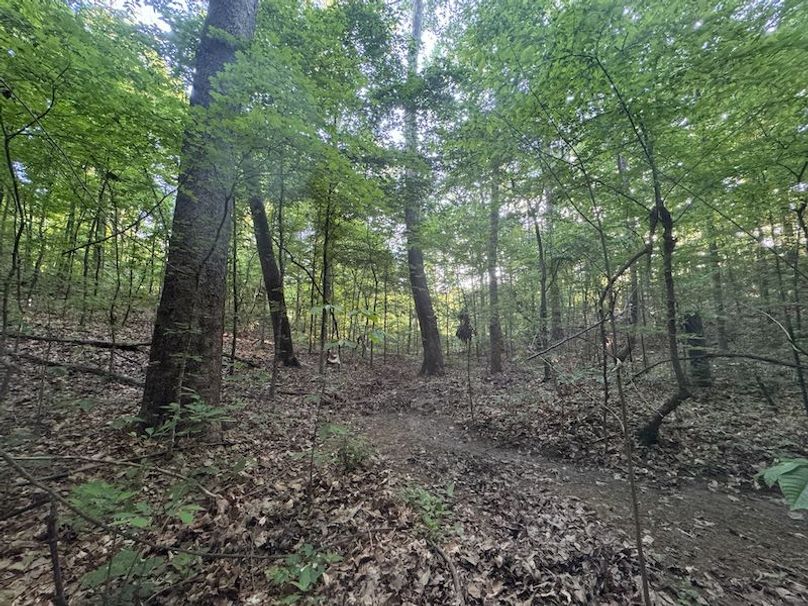 Desoto 8.3 Clement (Final Frontier) -18