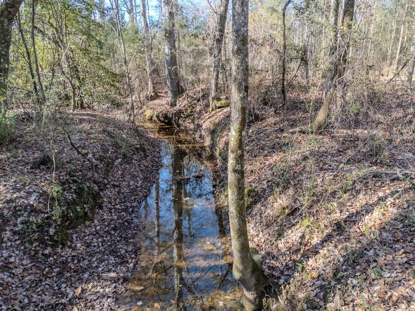 cropped and edited harrison 417ac pics-185