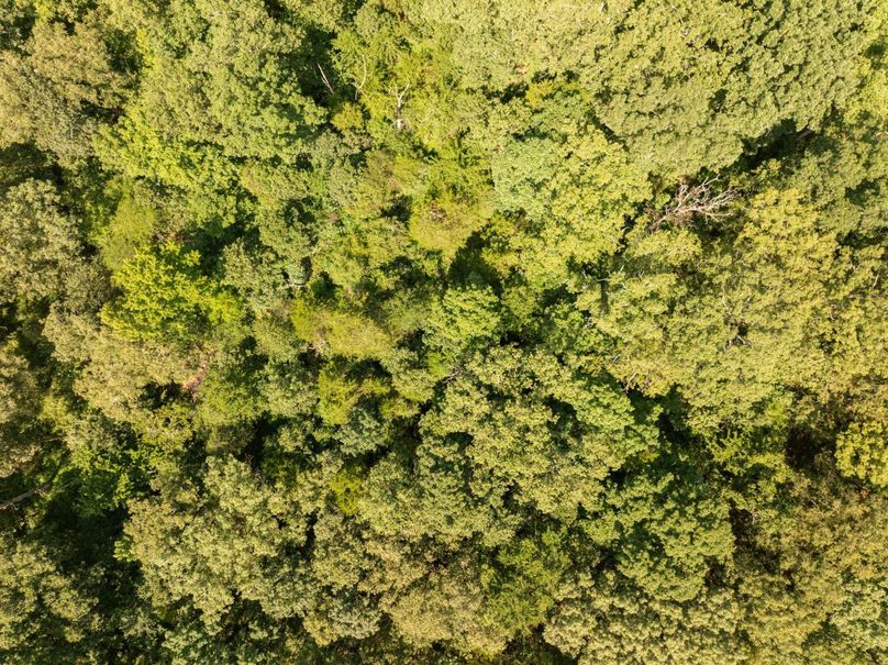 DJI_20250723113423_0565_D