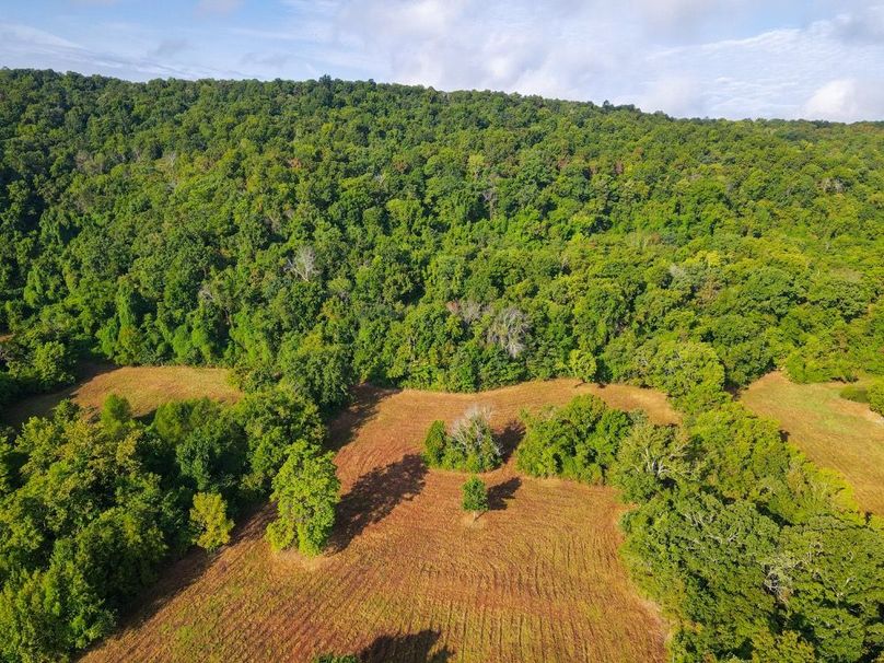 dji_fly_20250826_083634_686_1756215411693_photo