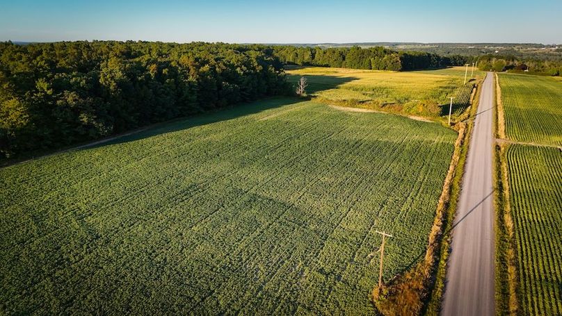 Copy of Wood Tract 5 Photo 4