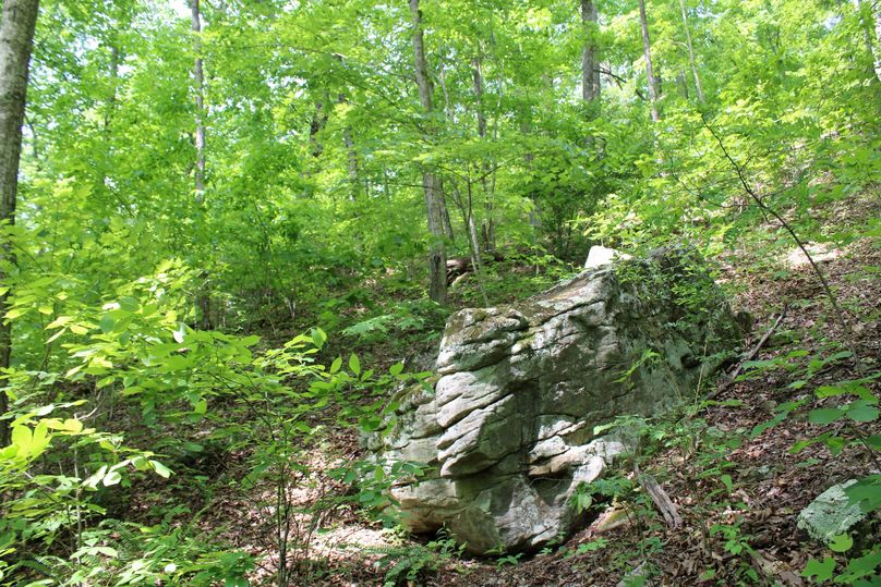 004 great limestome_sandstone outcroppings
