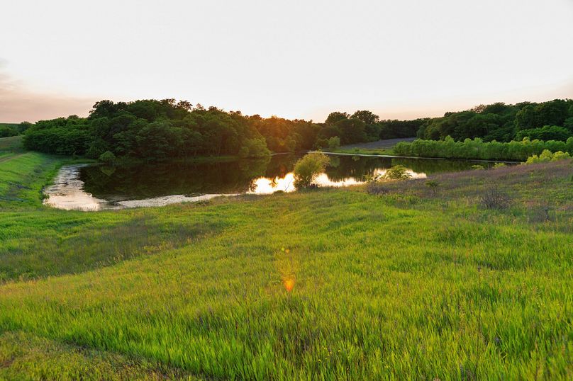 Harrison MO 480 Pro Photo_177 (21)