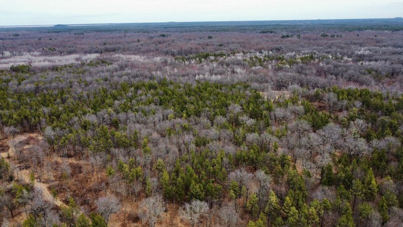 dji_fly_20250404_130004_739_1744067522193_photo_optimized 2