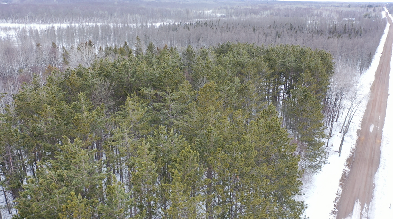 Screenshot 2023-04-04 at 11.21.40 AM