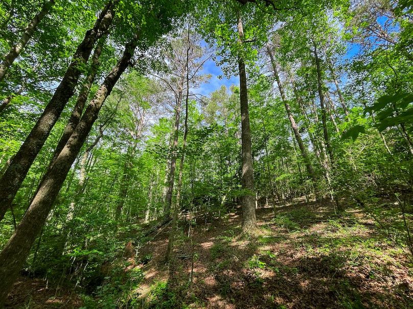 Haralson GA 100 McIntyre-52