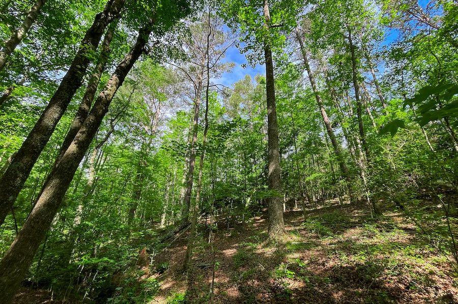 Haralson GA 100 McIntyre-52