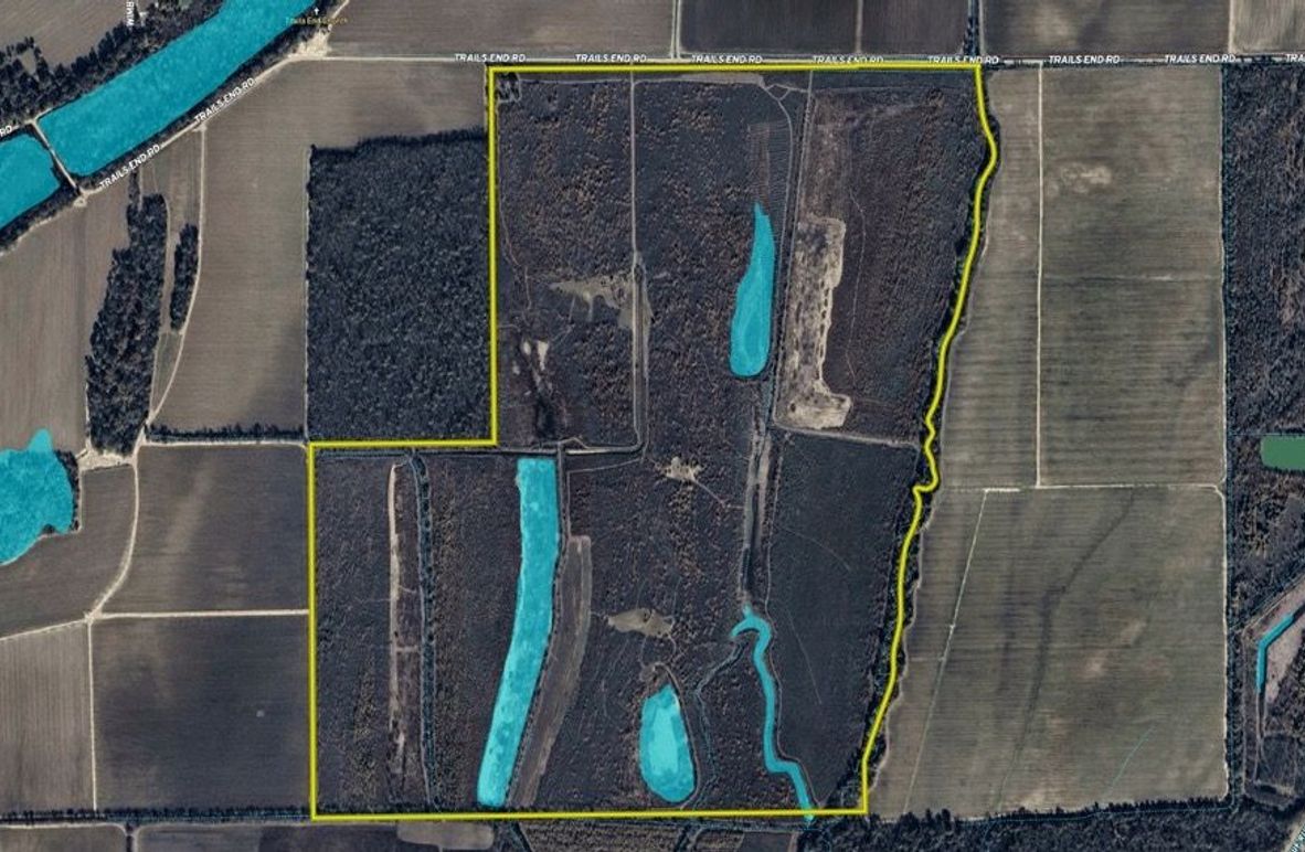 Morehouse 464 close 1