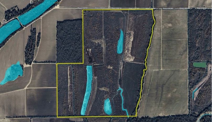 Morehouse 464 close 1