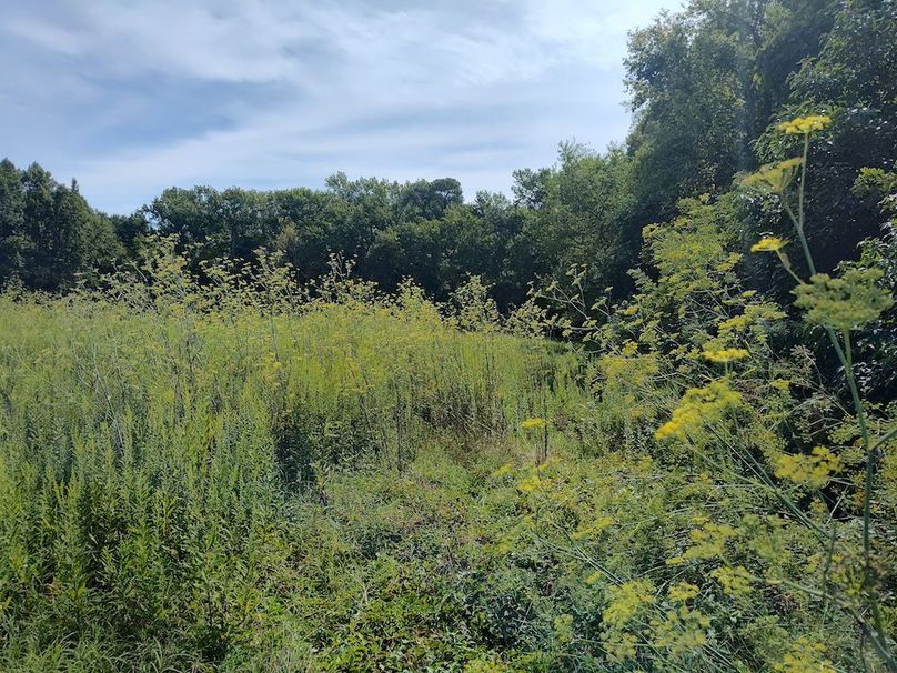 IMG_20250830_110854485_HDR