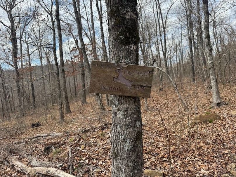 stone8020260306_0080