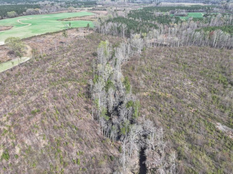 Copy of DJI_20260303063129_0532_D