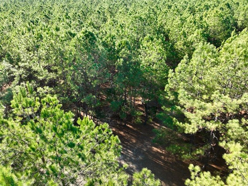 dji_fly_20251222_142024_97_1766431467401_photo