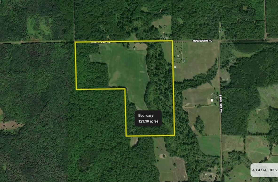 Close up Aerial, Mazur