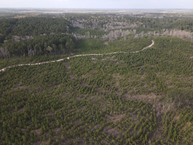 DJI_0085