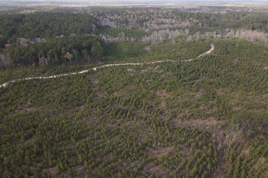 DJI_0085