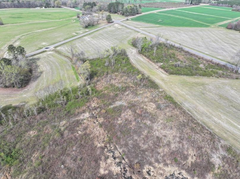 Copy of DJI_20260303065205_0593_D