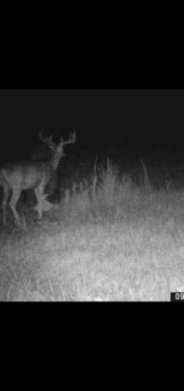 Resized_Screenshot_20241029-221826_Gallery