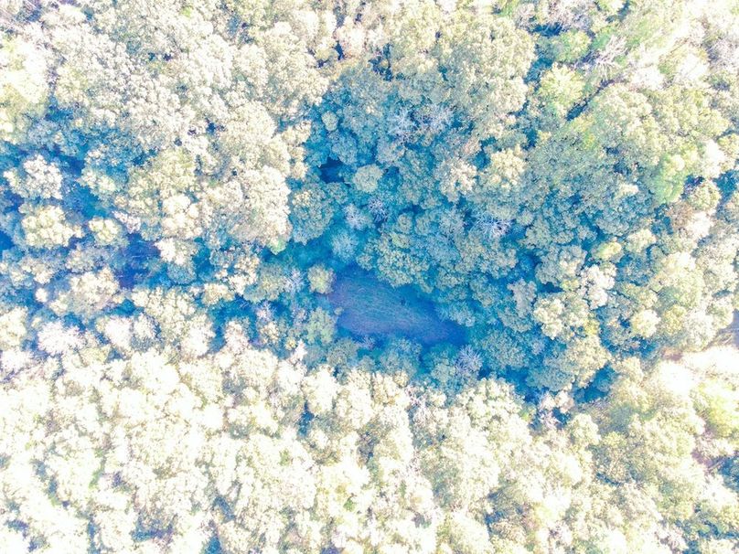 dji_fly_20241010_164630_908_1728593222389_photo