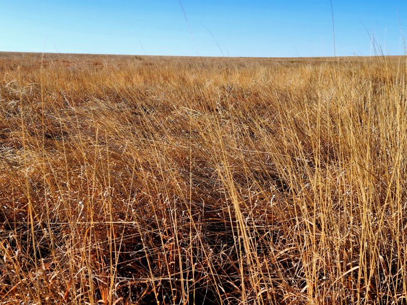 Copy of 20230208_090609