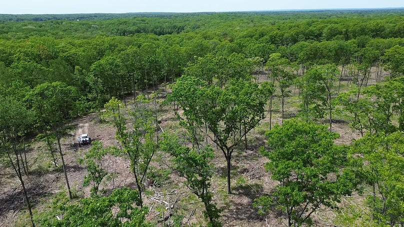 2024-05-24-12-54-51-957