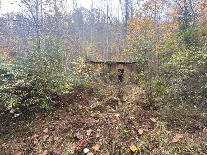 018 Overgrown structure tucked away into the hillside