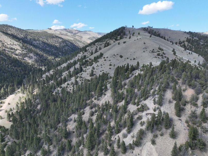 DJI_0006