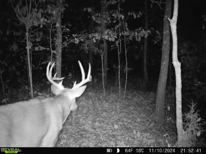 427816413584151051-2