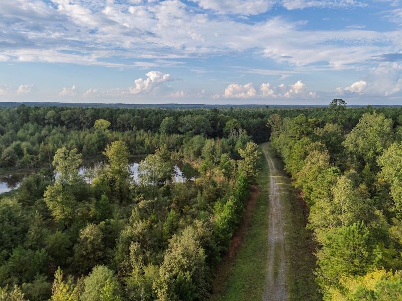 8 Edited Harison co. 206 - Ed Robb-101