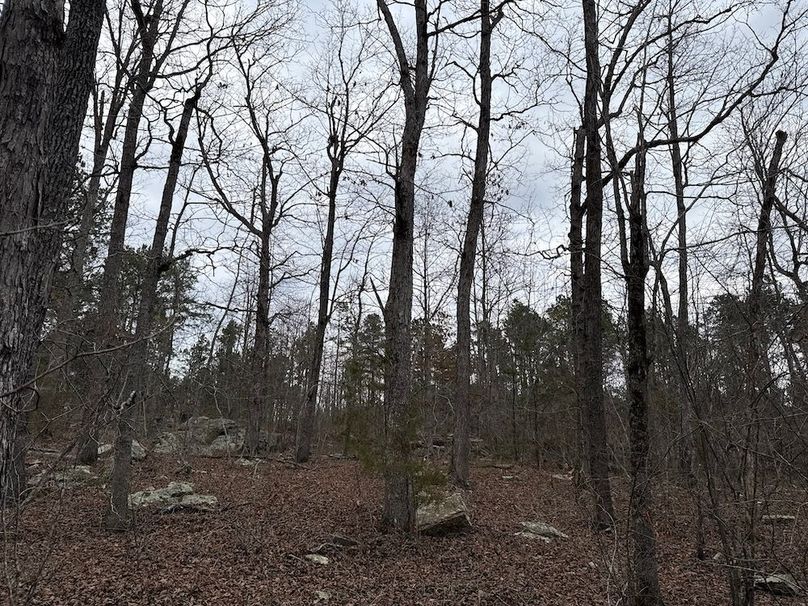 DJI_20260324_104505_895