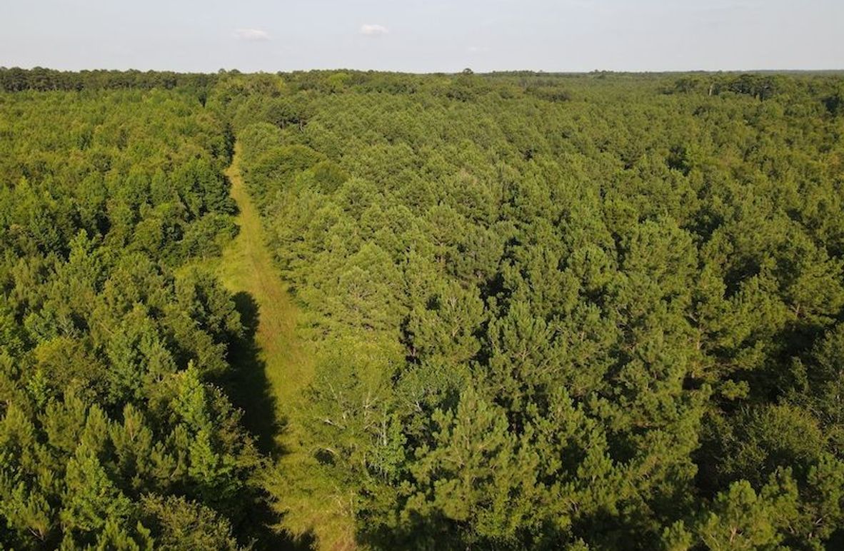 DJI_0602