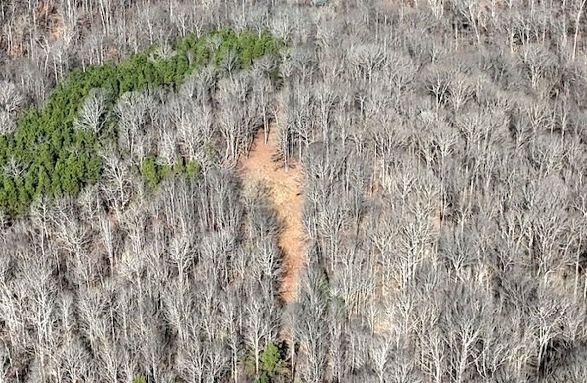 DJI_20260112113151_0020_D