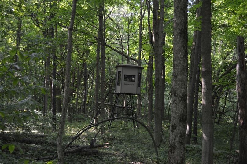 Nice stand