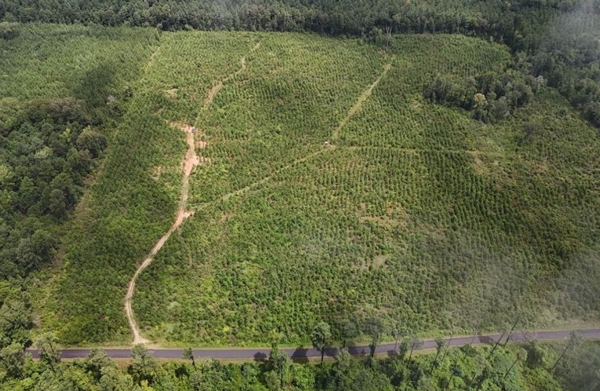 DJI_20250727011610_0524_D