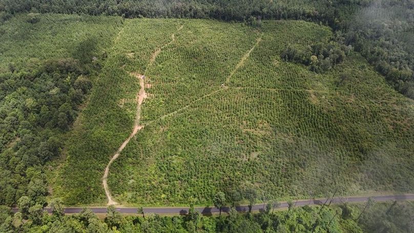 DJI_20250727011610_0524_D