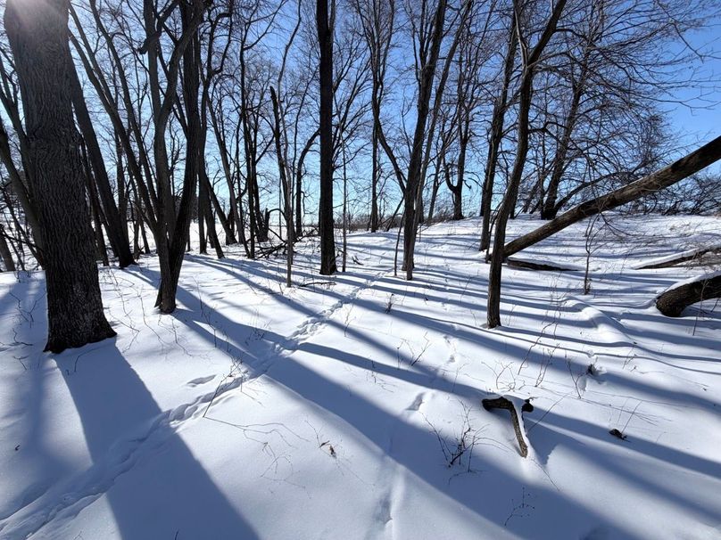 Copy of Tract 10 edge of Timber Looking West Large