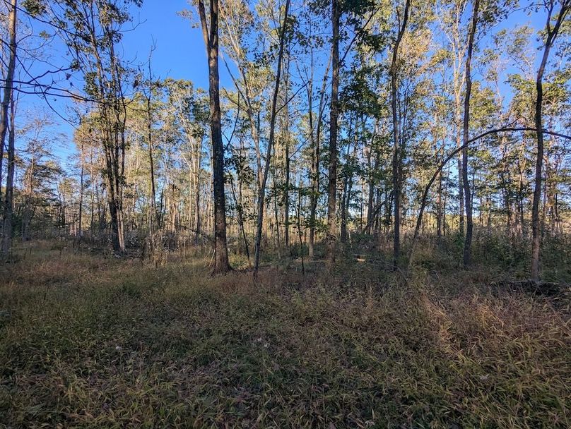 PXL_20251001_214558812