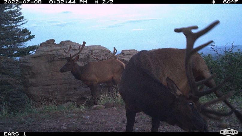 Copy of MBL_0065_7171366763356