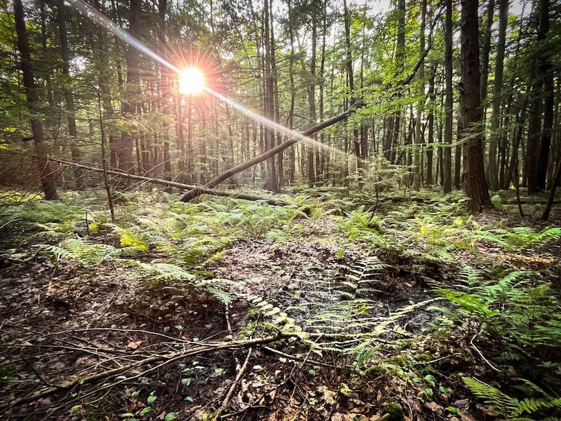 Oswego_25.66_Pettit_Photos_43