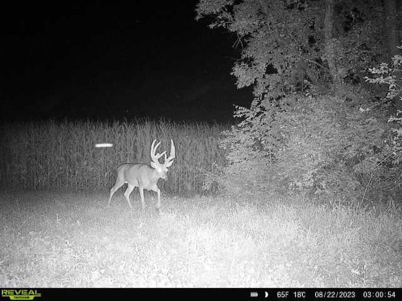 fe78defe-5541-43fc-b3a8-aaec18cf1113