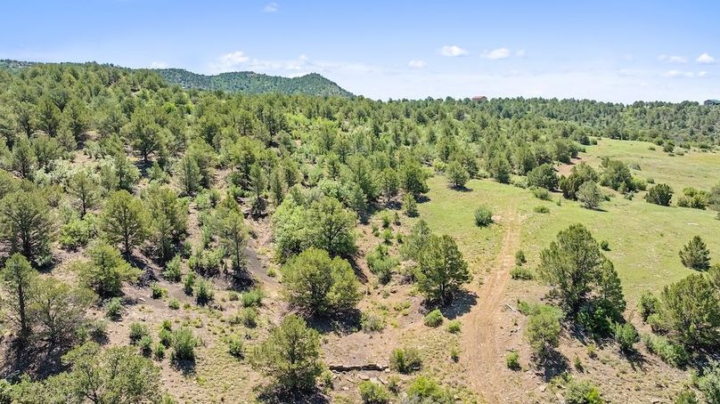 DJI_20250611122834_0160_D
