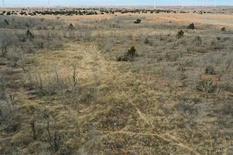 DJI_0580