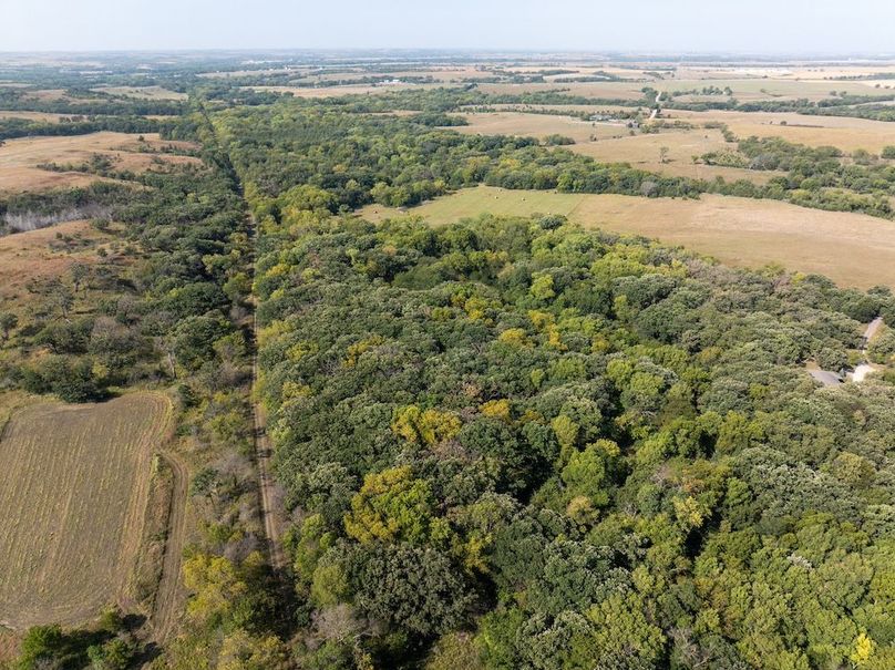 20240913-DJI_20240913104829_0097_D