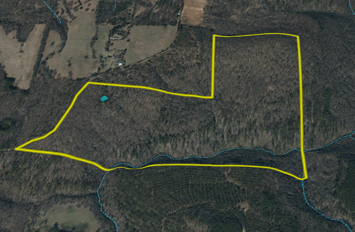 Screenshot 2026-02-14 at 10.01.51 AM