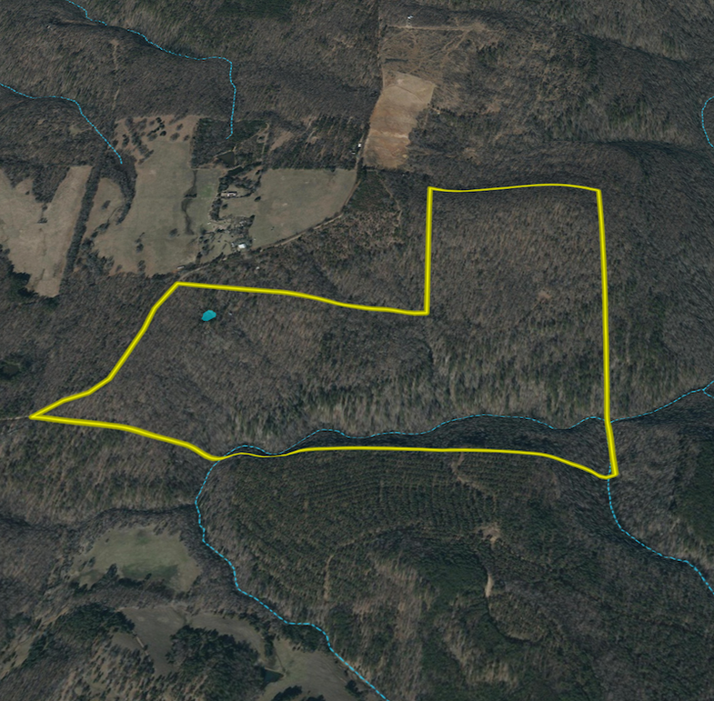 Screenshot 2026-02-14 at 10.01.51 AM