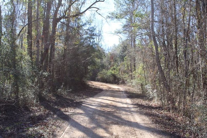 C299D49F-5B84-4A58-8073-65BA49173791_1_105_c