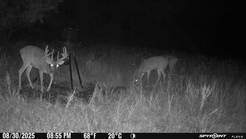 Trail Cam 1.1