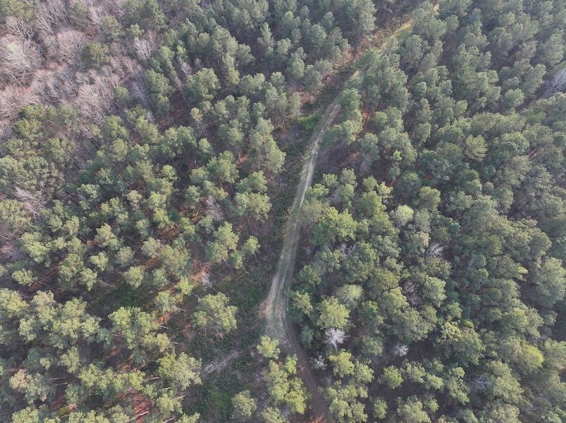 F049 - 117 Acres - Drone-6