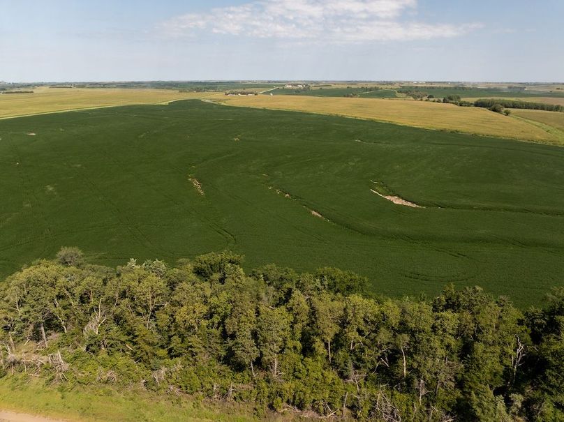 DJI_20250822114649_0086_D